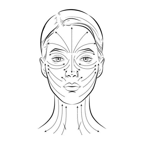 Bild 1 in Galerieansicht laden. drawing of on how to use the contouring facial roller on different parts of the face